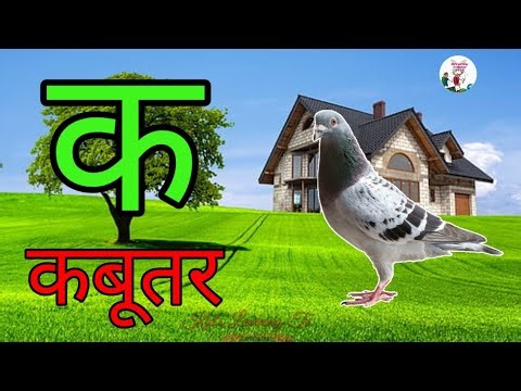 क से कबूतर, अ से अनार a se anaar k se Kabutar l Hindi Varnamala l ABCD क से कबूतर अ से अनार। for kid