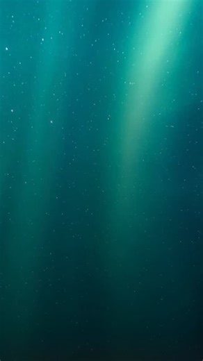 PRECISION ACCURACY WITH SMART SENSING Oura tracks over 50 biometrics, including sleep, activity, stress, heart health, and women’s health metrics. Oura Ring 4 is powered by Smart Sensing, which adapts to you — delivering accurate, continuous data, day and night. Now available at select The Loop stores: • UP Town Center • SM City Makati • Mitsukoshi • Ayala Center Cebu • SM City Davao | The Loop Ph