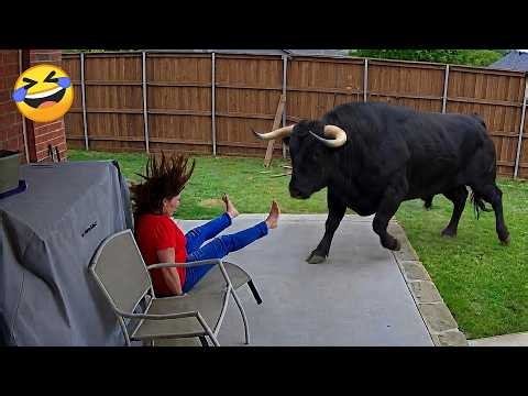 Try Not To Laugh 🤣 Top 100 Funniest Videos Ever | Memes Epic Fails & Pranks Compilation 2026 Part 12