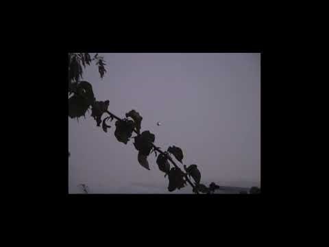 Metallic Sphere UFO Caught on Camera (2014) | The Rick Ybarra Backyard Sighting