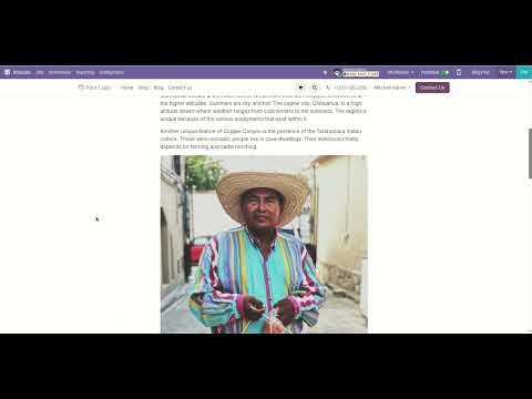 Website Blog SEO Schema Odoo