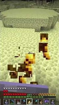 @Dtowncat DIDN’T SLEEP to stop @SB737 #minecraft #lifstealsmp #minecraftsmp