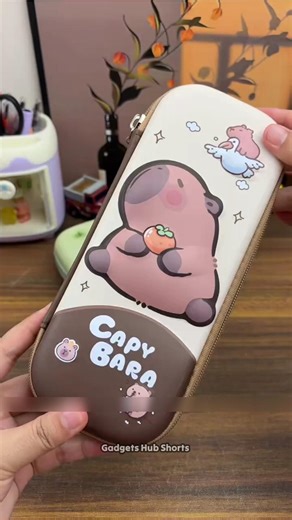 I Bought This CapyBara Cute Geometry Box 🥰 Cool Stationery Items for School #geometry #shorts #viral