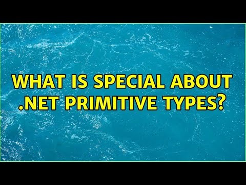 What is special about .NET primitive types?
