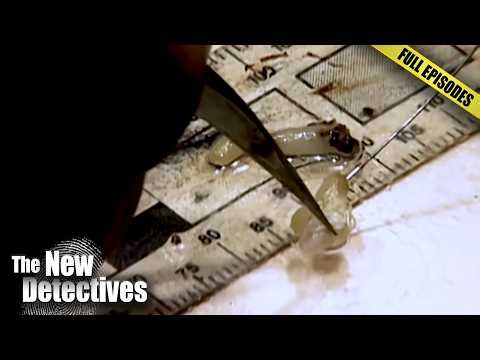 Finding a Body in a Tool Box & Solving Crimes With Ants