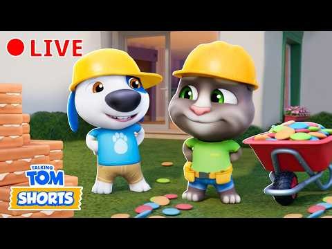 Tom the Builder 🚧 🛠️ Can He Make It? 🤨 Talking Tom Shorts ⭐️ Cartoons for Kids 🔴 24/7 LIVESTREAM