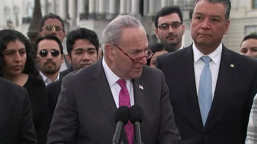 Democrat Chuck Schumer openly DEMANDS amnesty for ALL 20 million ILLEGAL ALIENS in America so that they can vote for Democrats.Is Chuck Schumer a Retard or a Traitor ??