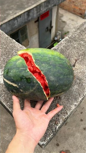 Experiment: Will a watermelon explode if it rolls off a tall building? 🍉💥#shorts