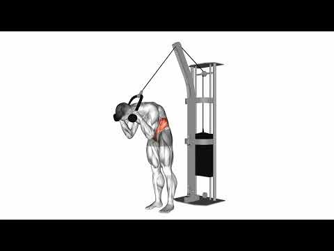 Cable Standing Crunch