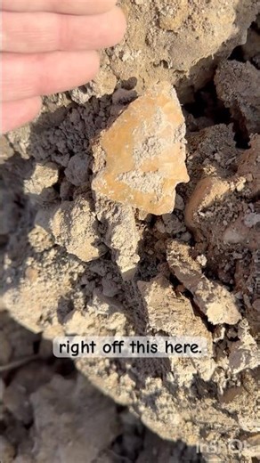 Brown Point! #arrowhead #arrowheadhunting #nativeamerican #artifacts #artifacthunting #rockhounding