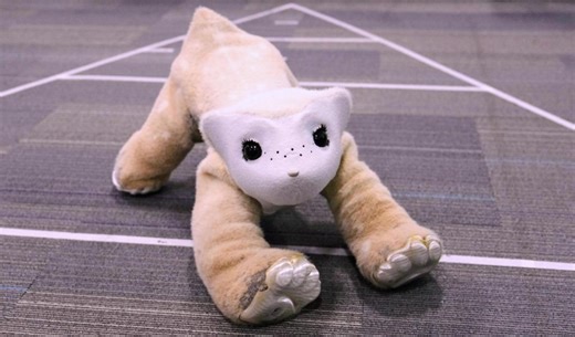 Roomba pioneer aims to crack the household market again with an AI-powered pet robot