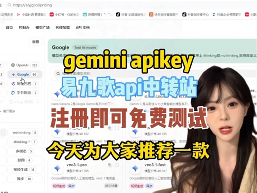 api中转站-gemini apikey