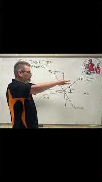 Statics: Lesson 6 | The Secret to Perfect Vector Components!