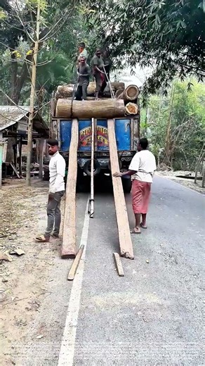 Rope Ramp: The Collective Pull That Loads a Timber