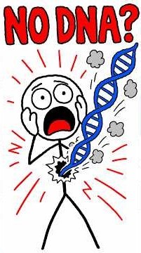 What if all your DNA suddenly vanished?