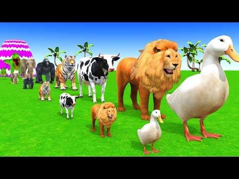 Long Slide Game With Cow Elephant Gorilla Hippopotamus Tiger 3d Animal Game Funny 3d AnimalsVideo