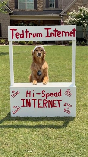 Teddy tried to get the best of @Spectrum (It didn’t work)… #SpectrumPartner