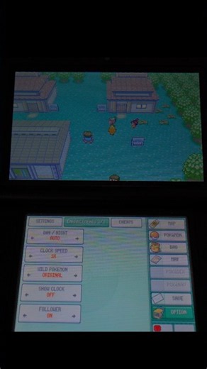 Pokémon Emerald 3DS: How to Use Pokémon Followers!