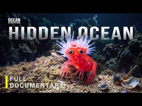 HIDDEN OCEAN | From Tiny Creatures to Giants of the Deep