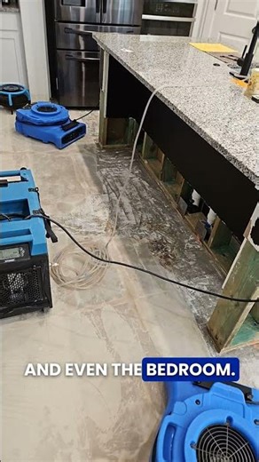Dishwasher Leak Leads to Four-Room Water Damage Restoration in Hutto, TX