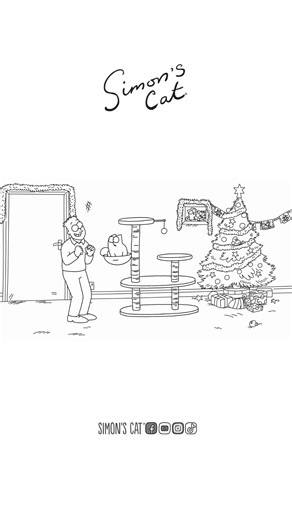 Why do we even bother! 😭 | Simon's Cat