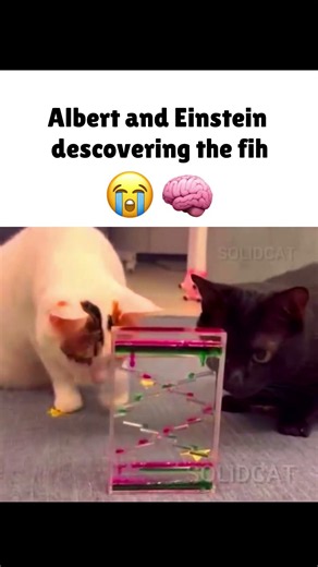 They made a new discovery 🧠