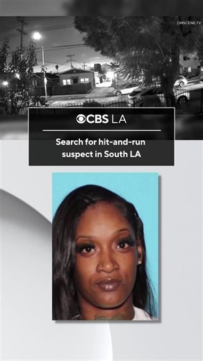 South LA hit-and-run suspect: new court records and search update