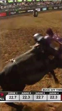 Bullfighter takes a HIT