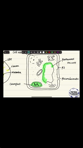 This Is Why You’re Dropping Marks in Cell Structure 👀