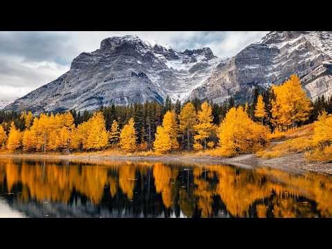 "Autumn's Quiet Woods" Beautiful Relaxing Music, Peaceful Instrumental Music by Tim Janis