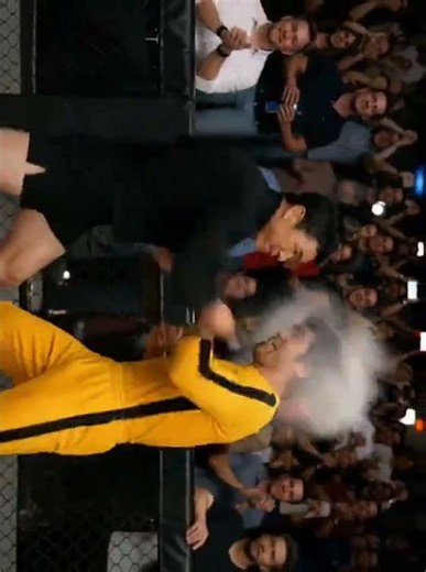 Ip Man Donnie Yen vs Bruce Lee – Ultimate Martial Arts Fight Battle