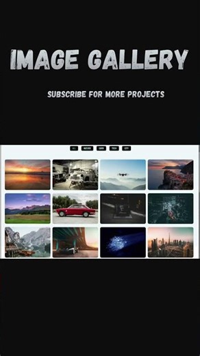 Image Gallery with Filter 🖼️ | HTML CSS JS #shorts