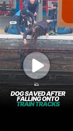It fell from an overcrowded train 💔 | Daily Mail Video