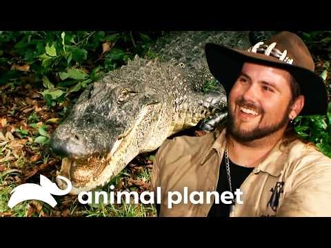 Monstrous Gators from Season 3 | Gator Boys | Animal Planet