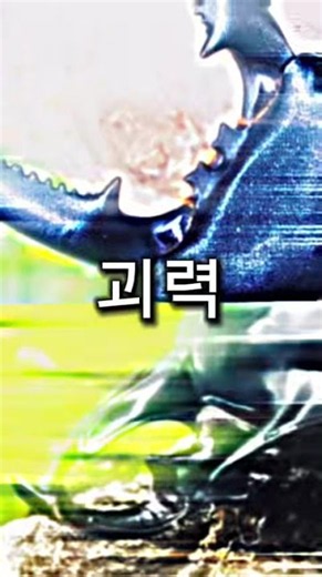 역대최강전투! 제일쎈사슴벌레vs제일쎈장수풍뎅이