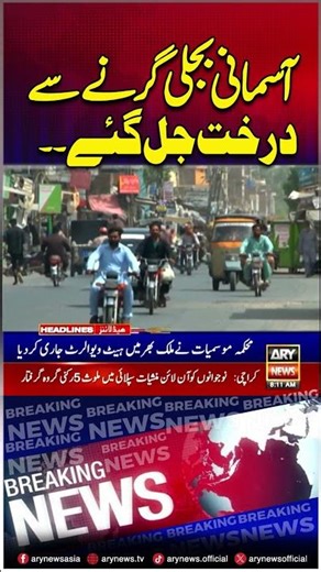 Lightning strikes burn trees #lightning #thunderstorm #shorts