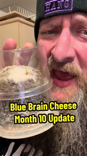 Blue Brain Cheese Month 10 Update: Progress Report