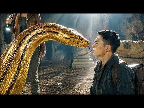 The python recognized the man who had petted him since childhood | Movie Recap