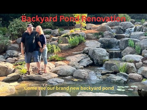 Back Yard Pond Renovation
