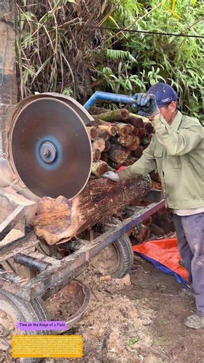 How a Swing-Blade Saw Splits Timber Into Firewood on the Mountain