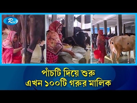 ঋণে কেনা পাঁচ গরুই বদলে দিল ভাগ্য | Dairy Farm | Cow Farming | Bangladesh Agriculture | Rtv News