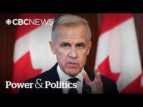 Should Canada fight back against the latest U.S. trade bans? | Power & Politics