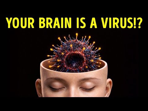 Human Body Facts Your Mirror Won’t Show You