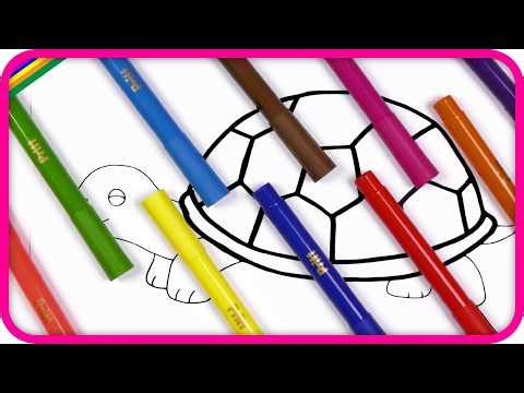 🐢 Turtle Drawing and Coloring for Kids 🌈 | Learn Colors with Cute Turtle 🎨