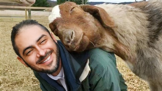 Heartwarming animal love moments that instantly lift your mood