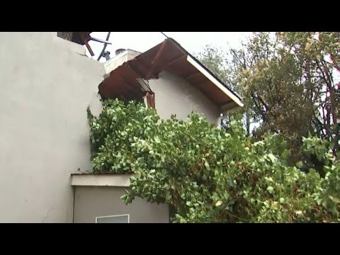 Fallen tree slices through DeKalb County teenager's bedroom during storms