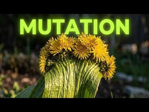 The Alien Brain Mutation: Why Plants Grow Flat