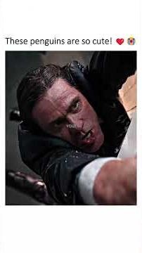 These penguins are pure chaos 😭 #viral #shorts