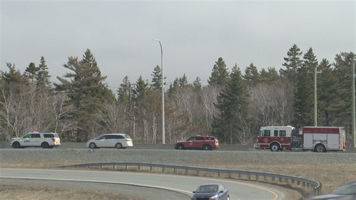 Brush fire breaks out in the Halifax area