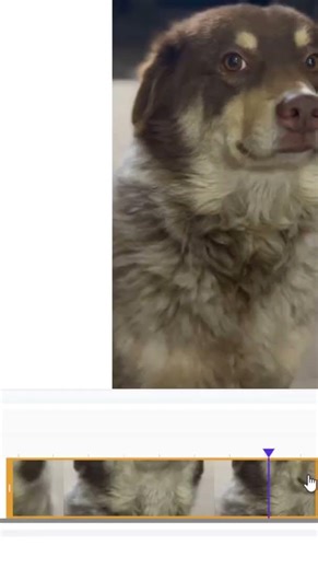 Cut Videos in Seconds with EZTrimmer AI – No Editing Skills Needed